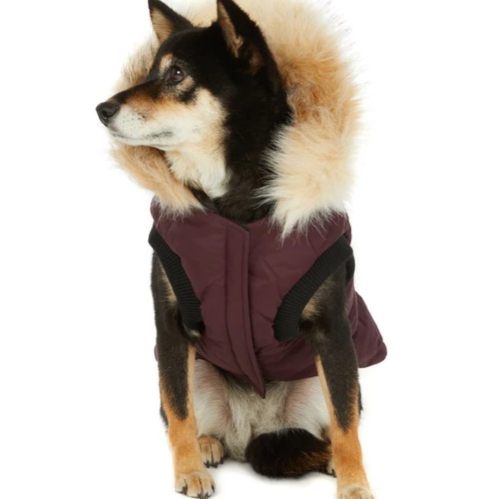 PAJAR Toby Jacket - Picture 3 of 11